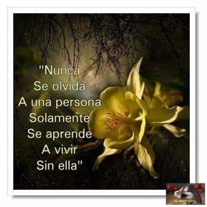 Meet your Posher, Elisa